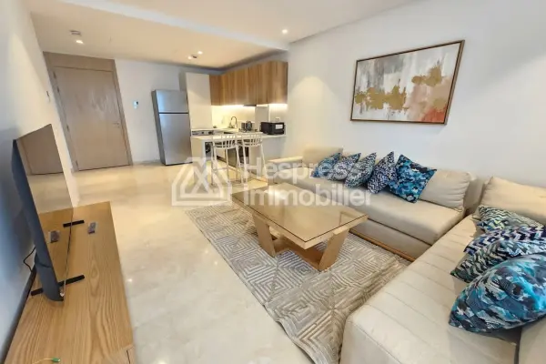 Spacious furnished studio with terrace