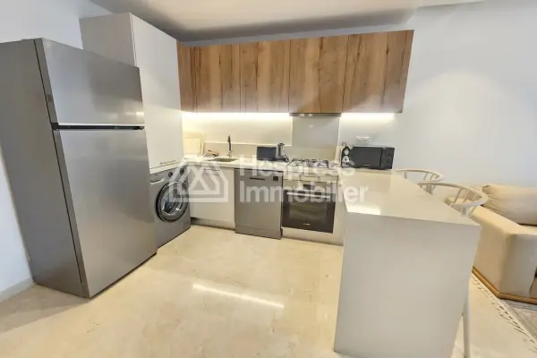 Spacious furnished studio with terrace