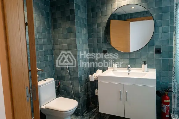 Furnished studio apartment, 75m², with terrace, city center