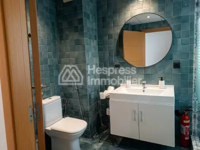 Furnished studio apartment, 75m², with terrace, city center
