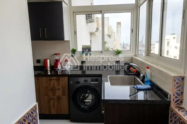 Furnished studio apartment, 75m², with terrace, city center