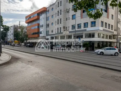Magasin idéal pour toute activité commeciale