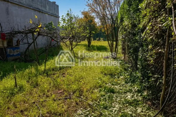 Large plot of land for sale in Nouasser