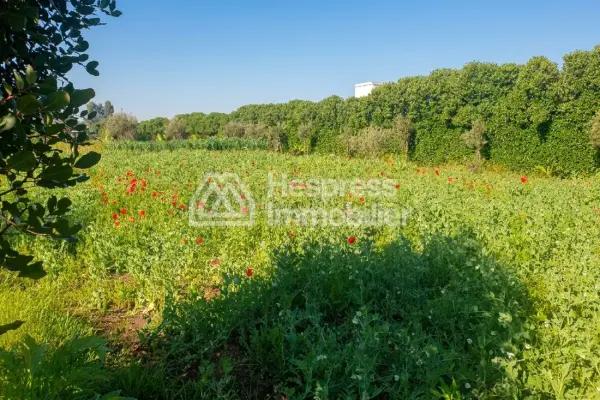 Large plot of land for sale in Nouasser