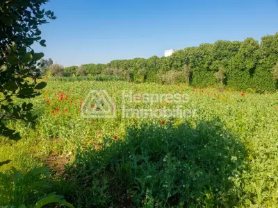 Grand terrain à vendre à Nouasser