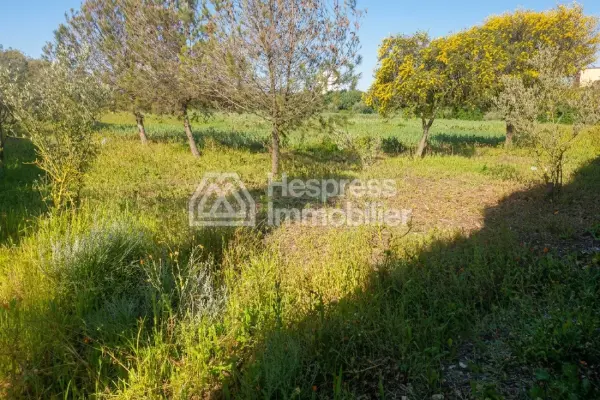 Large plot of land for sale in Nouasser