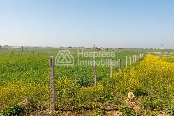 أرض للبيع على طريق الخياطية