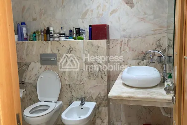 Large 4-bedroom apartment in the city center