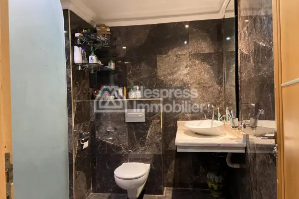 Large 4-bedroom apartment in the city center