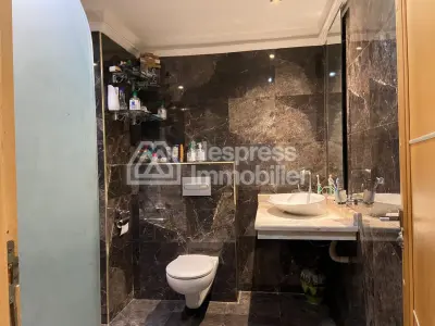 Large 4-bedroom apartment in the city center