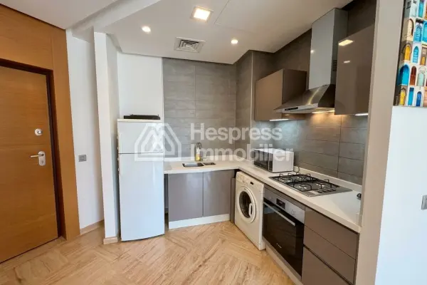 Furnished studio apartment for rent (CFC)