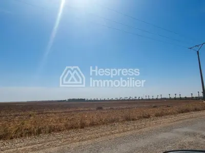 For sale: Agricultural land of 2 hectares (2633)