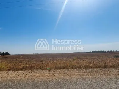 For sale: Agricultural land of 2 hectares (2633)