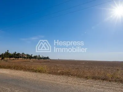 For sale: Agricultural land of 2 hectares (2633)
