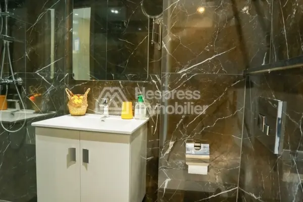 Furnished studio apartment for rent in District Gauthier
