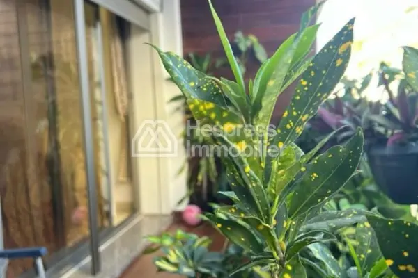 Luxurious apartment on Fes Street Tangier