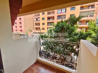 Spacieux appartement 2 chambres à Gueliz