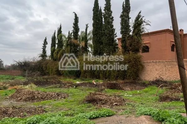 Exceptional plot of land measuring 1000 m² in Targa