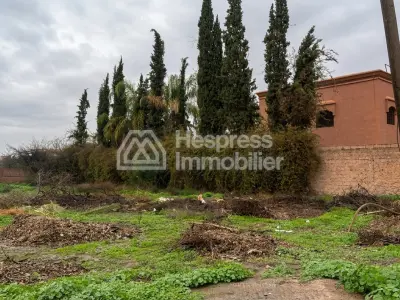 Exceptional plot of land measuring 1000 m² in Targa