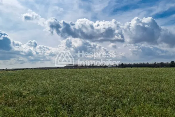 أرض زراعية للبيع في بوسكورة في بيسا، 500 درهم للمتر