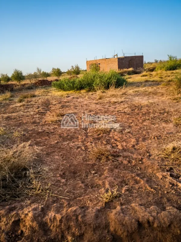 Purchase of land at Ait Ourir . Area 10000 m²