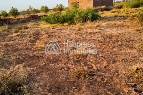 Purchase of land at Ait Ourir . Area 10000 m²