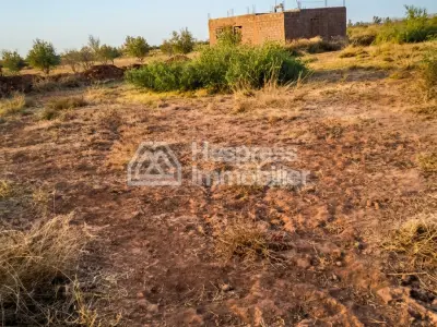 Purchase of land at Ait Ourir . Area 10000 m²