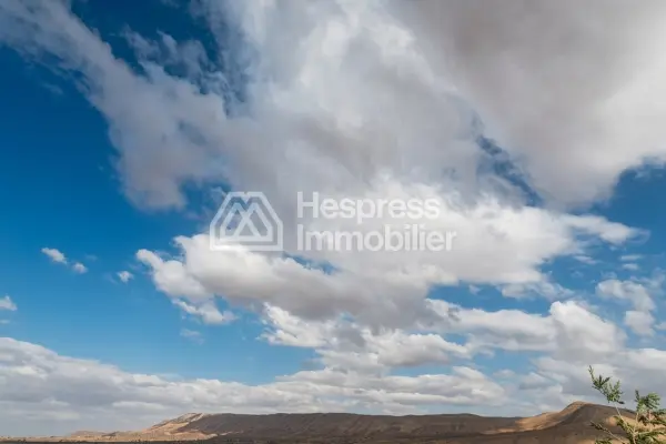 Purchase of land at Ait Ourir . Area 10000 m²