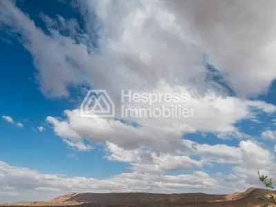 Purchase of land at Ait Ourir . Area 10000 m²