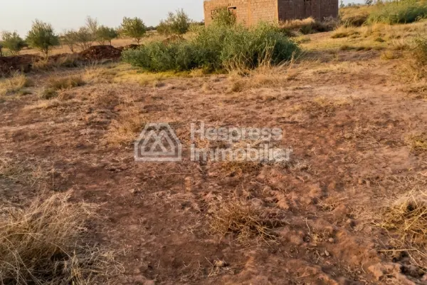 Purchase of land at Ait Ourir . Area 10000 m²