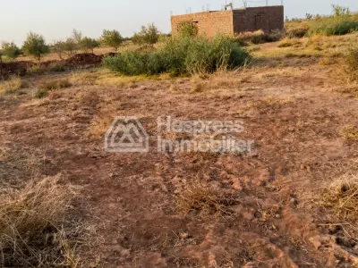 Purchase of land at Ait Ourir . Area 10000 m²