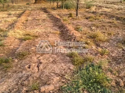 Purchase of land at Ait Ourir . Area 10000 m²