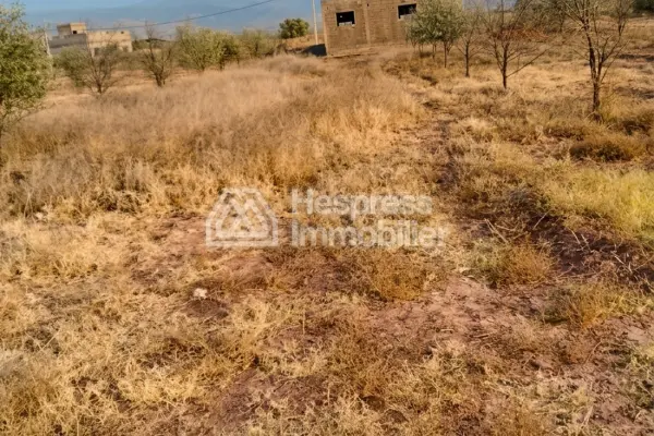 Purchase of land at Ait Ourir . Area 10000 m²