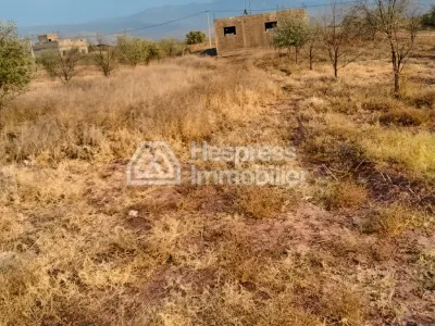 Purchase of land at Ait Ourir . Area 10000 m²