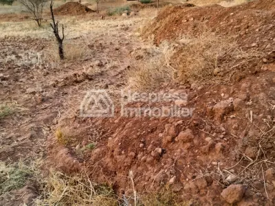 Purchase of land at Ait Ourir . Area 10000 m²