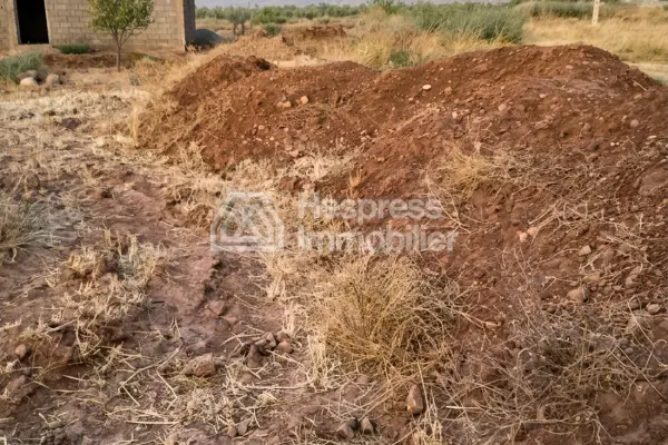 Purchase of land at Ait Ourir . Area 10000 m²
