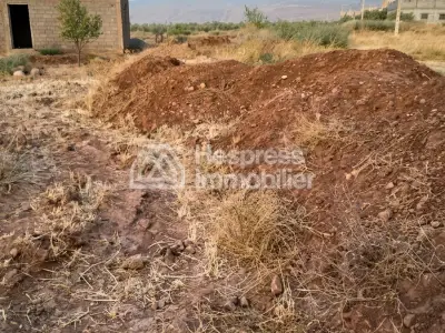Purchase of land at Ait Ourir . Area 10000 m²