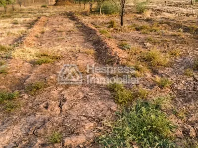 Purchase of land at Ait Ourir . Area 10000 m²