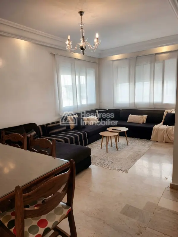 Furnished apartment with terrace for rent