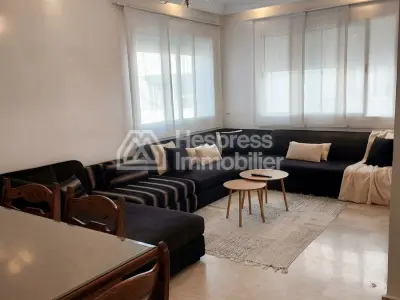 Furnished apartment with terrace for rent