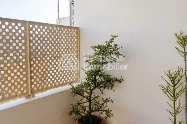 Furnished apartment with terrace for rent