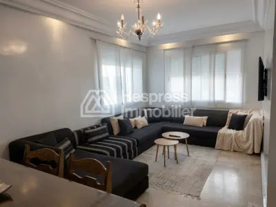 Furnished apartment with terrace for rent
