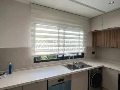 Apartment Palmier 2 bedrooms