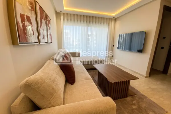 Appartement sobre moderne sans vis à vis à louer