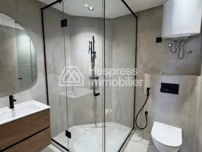 Appartement sobre moderne sans vis à vis à louer