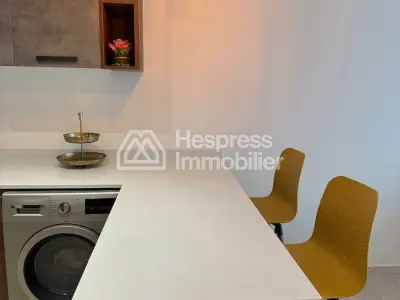 Appartement sobre moderne sans vis à vis à louer
