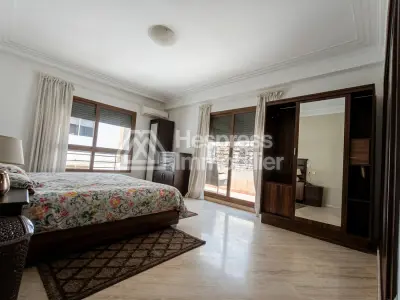 Bel Appartement à côté de Molière Palmier à louer