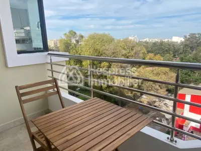 Unobstructed park view, modern apartment for rent in Palmier