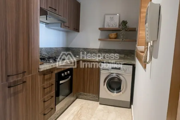 Beautiful modern studio with terrace for rent Racine