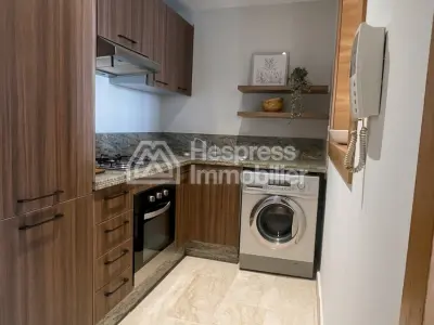 Beautiful modern studio with terrace for rent Racine